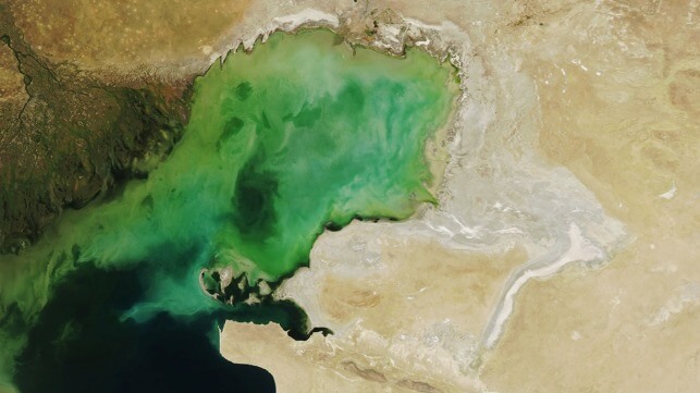 Reduced surface area of the Caspian Sea, 2022 (NASA)