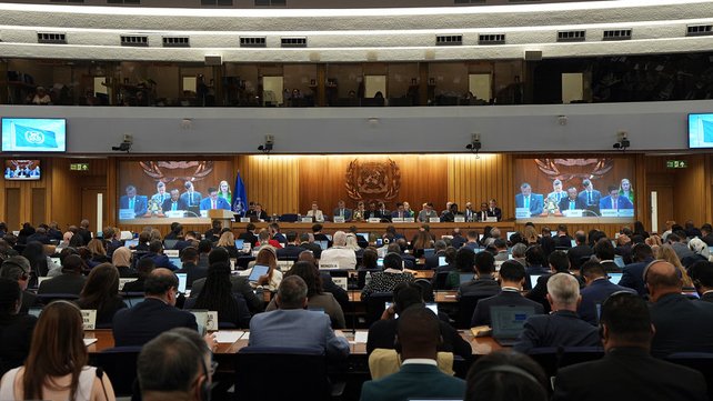 IMO International Maritime Organization