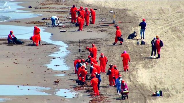oil spill cleanup