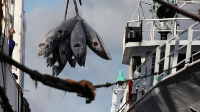 Tuna transshipment